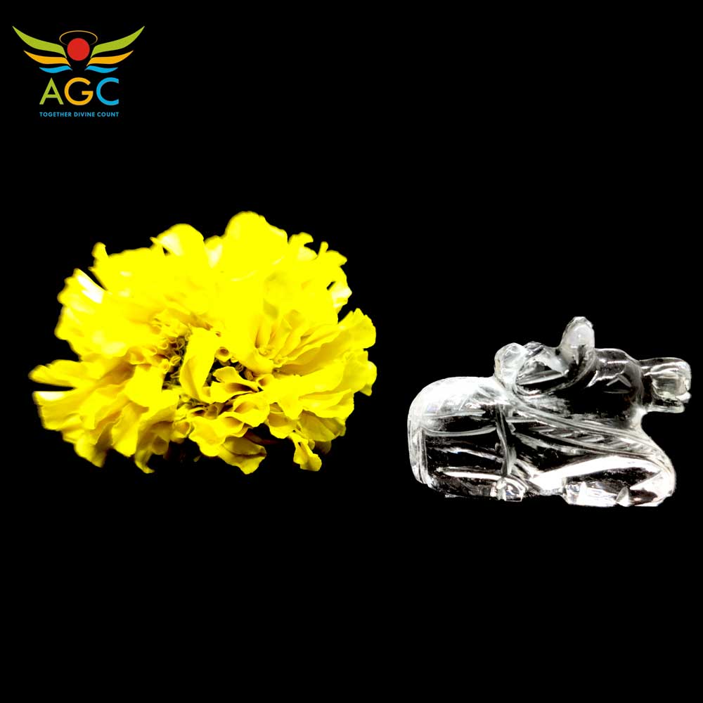 sphatik-nandi_puja_spiritual_angel-global-consultancy_1000_1 sphatik-nandi-angel-global-consultancy